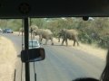 Национальный парк Kruger