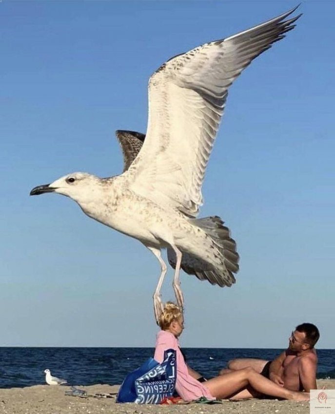 _,