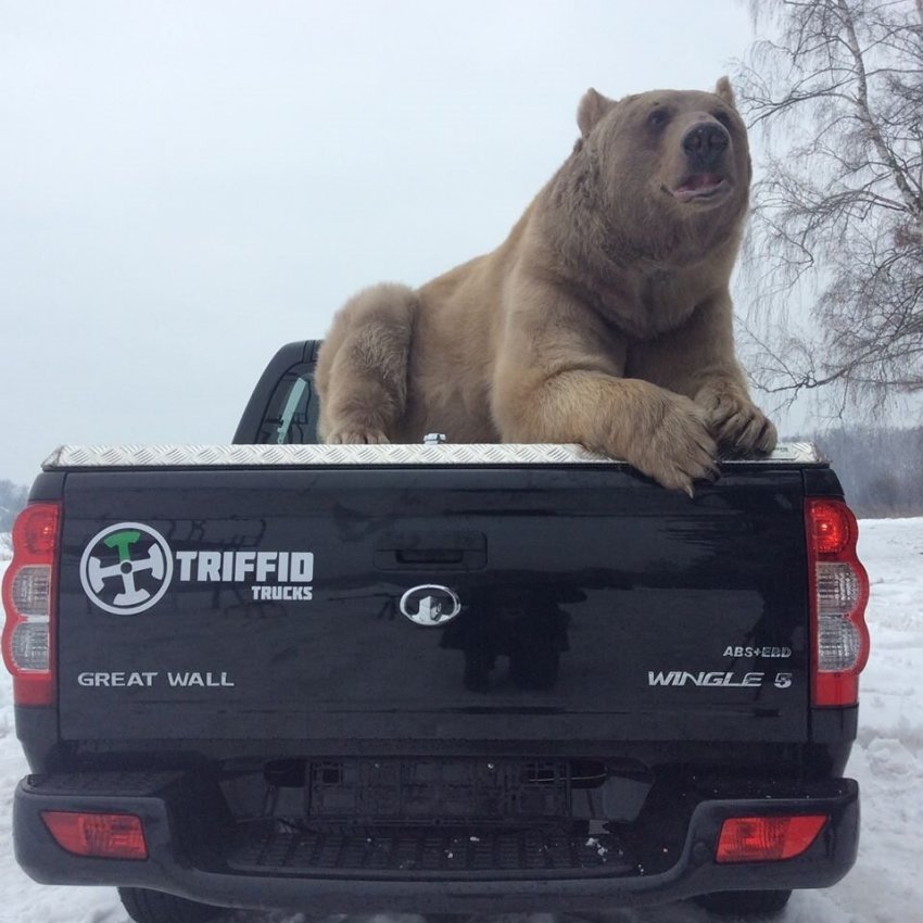 ��������_�������,�������