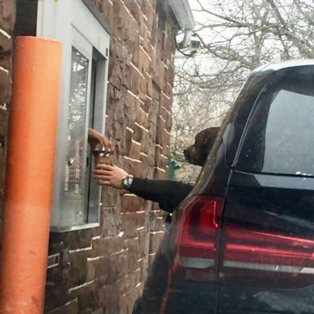_,