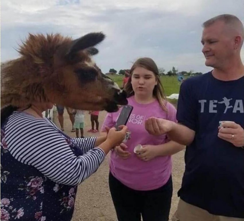 _,