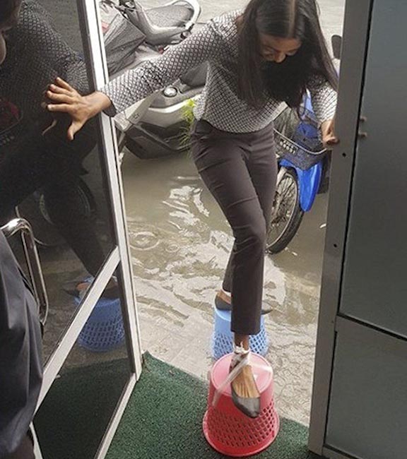 ���� �������, �������: ����, �������� - 