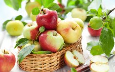 Есть ли в природе молодильные яблоки? 