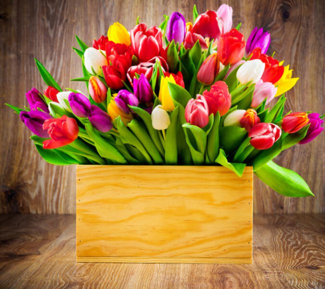 Как продлить жизнь букету роз, тюльпанов и другим цветам в вазе?  