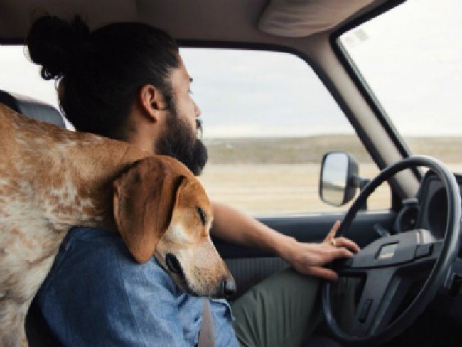 ����������� �� ��������� ���������  www.google.com/imghp