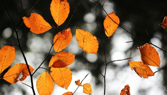 Jonah Pettrich on Unsplash