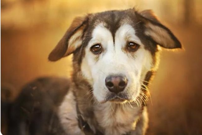 ����������� �� ��������� ���������  www.google.com/imghp