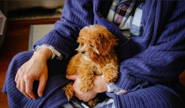 ����������� �� ��������� ���������  www.google.com/imghp